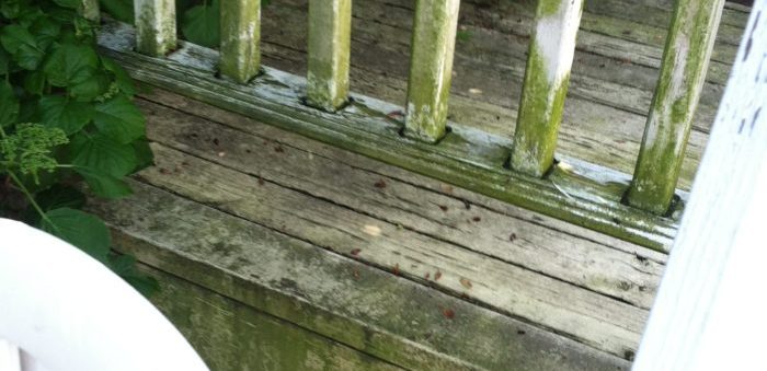 Before: Bay Village Wooden Deck - Pressure Washing & Painting