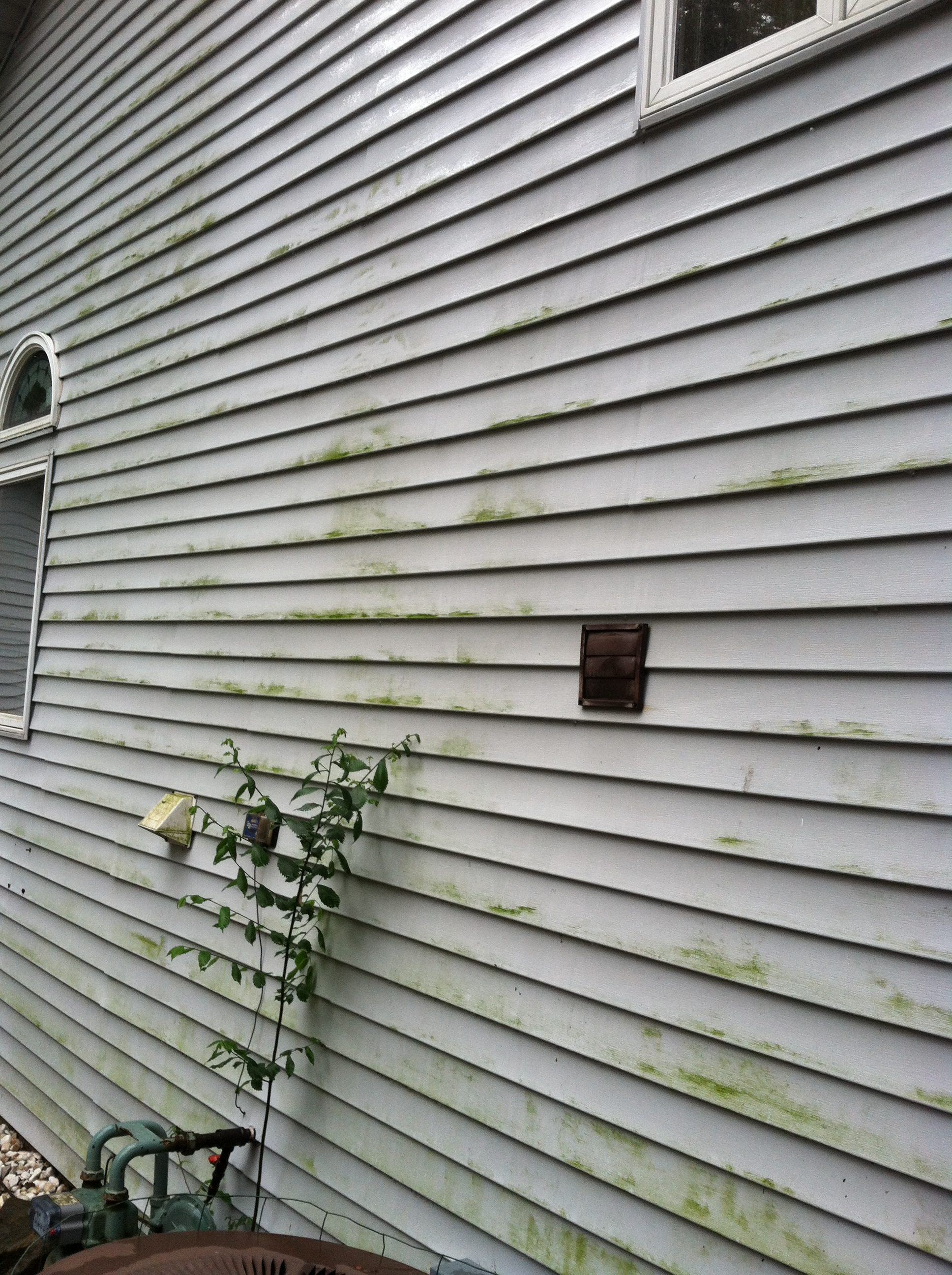 Before - Westlake Home With Mold and Algae on Vinyl Siding